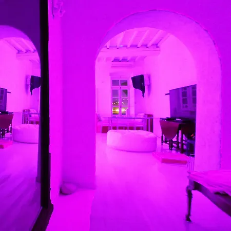 The Loft Apartment